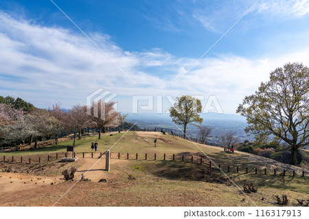 [春天]奈良公園若草山[櫻花] 116317913