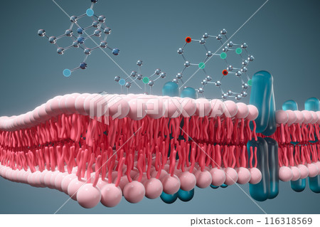 Cell membrane and biology, biological concept, 3d 116318569