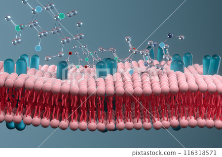 membrane, plasmalemma, lipids 116318571