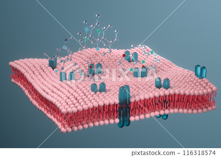 Cell membrane and biology, biological concept, 3d Cell membrane and biology, biological concept, 3d 116318574