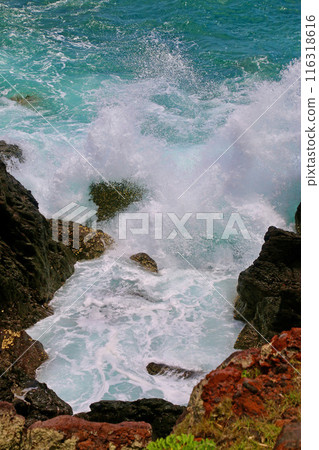 Coast and Splashing Waves - Rias Coast (Ibusuki City, Kagoshima Prefecture) 116318616