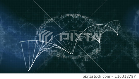Image of dna strand spinning over human brain 116318787