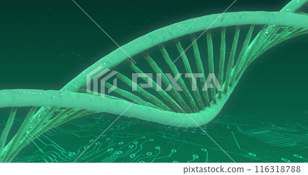 Image of dna helix rotating over electronic circuit board patterns on abstract background Image of dna helix rotating over electronic circuit board patterns on abstract background 116318788