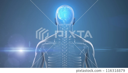 Image of glowing light over human body with brain Image of glowing light over human body with brain 116318879