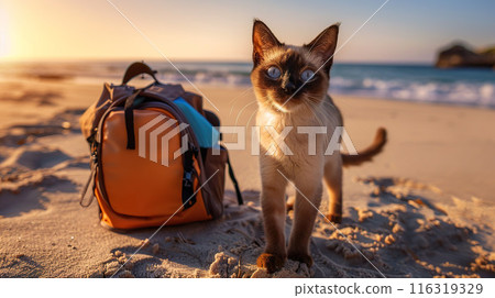 Siamese Cat on Beach Adventure 116319329