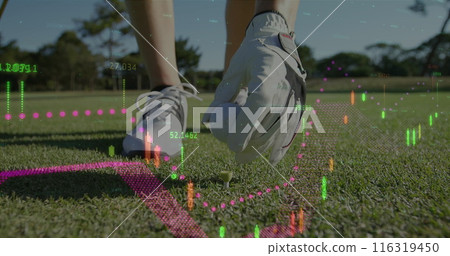 Image of graphs and numbers over low section of caucasian woman placing golf ball on tee 116319450