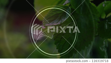 Digital composition of dna structure spinning against water falling on basil plant 116319718
