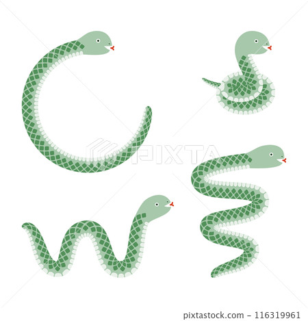 Set of various green snake illustrations Set of various green snake illustrations 116319961