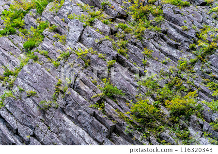 清津峽 - 壯觀的柱狀節理之美、巨大的岩壁、大地的藝術 116320343