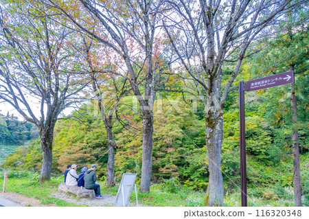 Kiyotsu Gorge Promenade 116320348