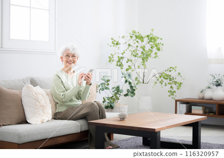 Smiling senior woman sitting on the sofa and holding a smartphone, looking at the camera, tapping and operating, wide angle 116320957