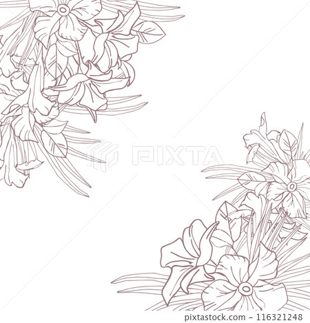 Jasmine flower and palm leaves line art frame for card, invite, scrapbook or wallpaper. Delicate tropical flower, vector background 116321248
