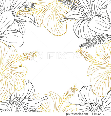 Hibiscus flower frame boarder for design of card, wedding invite, scrapbook. Line art black ink and golden hand drawn tropical floral background. 116321292