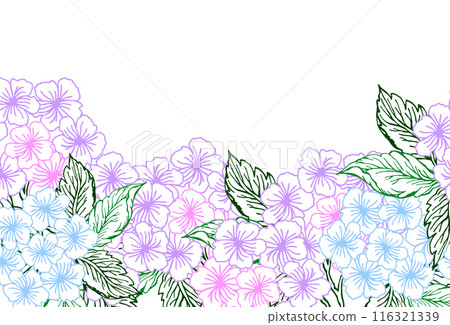 Spring floral horizontal wreath seamless banner with blue and pink hydrangea flower. Line art little flower with leaves for card or invite, coloring page. 116321339