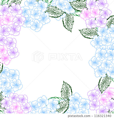 Spring floral square wreath with blue and pink hydrangea flower. Line art little flower with leaves for card or invite, coloring page. 116321340