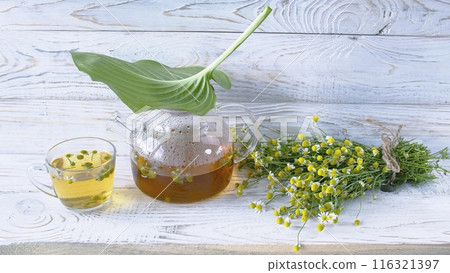 Herbal medicinal tea with chamomile flowers in a glass teapot, a bouquet of fresh flowers, on a wooden light background. Herbal medicinal tea with chamomile flowers in a glass teapot, a bouquet of fresh flowers, on a wooden light background. 116321397