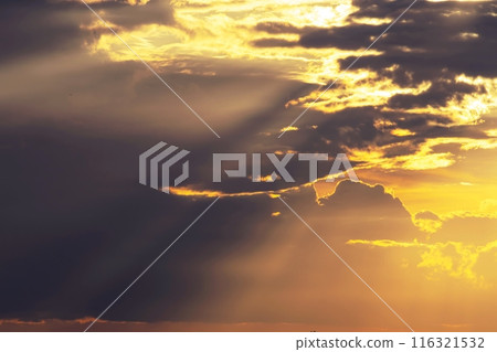 Beautiful sunset sky with clouds and sun rays. Nature background. 116321532