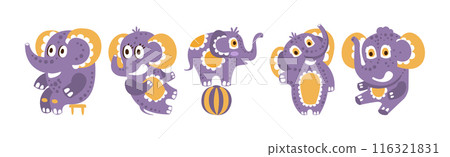 Cute Purple Baby Elephant Character with Pretty Snout Vector Set Cute Purple Baby Elephant Character with Pretty Snout Vector Set 116321831