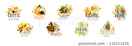 Exotic Original Design Label and Logo Vector Set 116321836