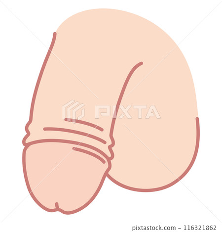 Male Reproductive System Medical Male Reproductive System Medical 116321862