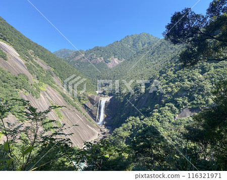 Chihiro Falls (Yakushima) 116321971