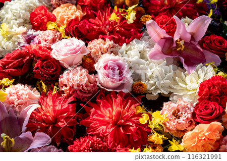 Chozubachi (water basin) at Sumiyoshi Taisha Shrine 116321991