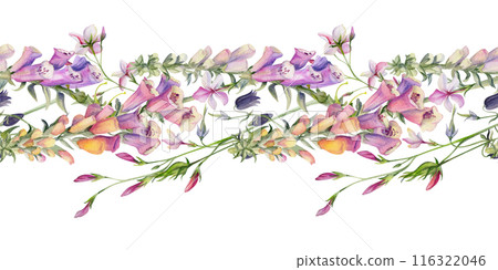 Hand drawn watercolor illustration botanical flowers leaves. Willow eucalyptus branch, foxglove snapdragon lupin, pink lobelia jasmine. Seamless banner isolated on white. Design wedding, love cards 116322046