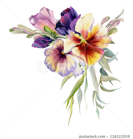 Hand drawn watercolor illustration, victorian botanical flowers leaves. Pansy viola, willow eucalyptus branch, ash maple keys seeds. Bouquet isolated on white background. Design wedding, love cards Hand drawn watercolor illustration, victorian botanical flowers leaves. Pansy viola, willow eucalyptus branch, ash maple keys seeds. Bouquet isolated on white background. Design wedding, love cards 116322059