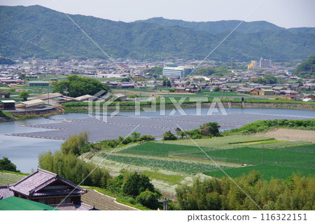 兵庫縣淡路島，從大日水庫眺望正木池 116322151
