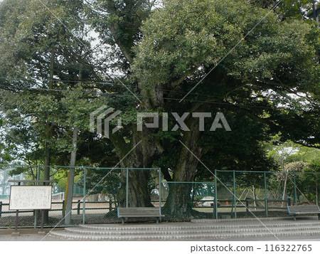 水戶城遺址（兩棵大須田二樹）/茨城縣 116322765