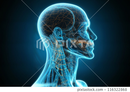 silhouette of a human body with neural connections inside, head and brain, in form of a hologram on a dark background, digital art, concept of biotechnology of future 116322868