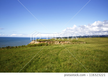 從海岸線的草地上看到深藍色的海、地平線、藍天和雲彩 116323221