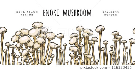 Vector seamless border with fresh organic enoki mushrooms in the style of a hand-drawn sketch Vector seamless border with fresh organic enoki mushrooms in the style of a hand-drawn sketch 116323435