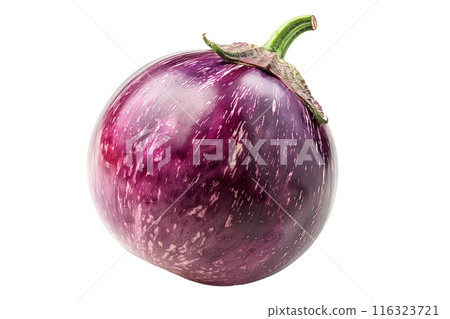 A single striped Globe purple eggplant is isolated on a white background 116323721