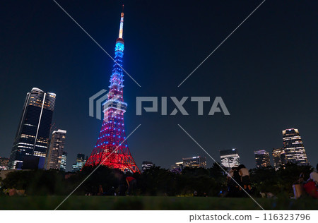 芝公園夜景，可見東京鐵塔和麻布台之丘 116323796