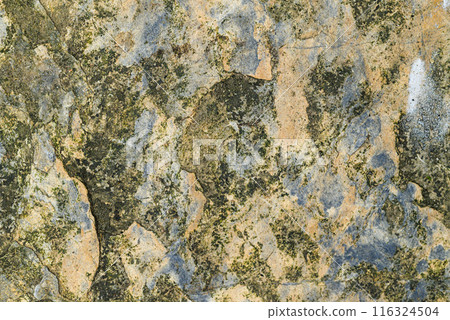 Grunge old stone floor pattern texture background 116324504