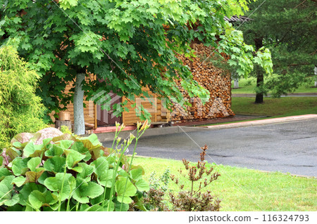 Backyard in summer. Firewood and stepladders of different heights. Organisation of working space. Outside behind house.  116324793