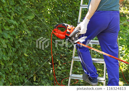 Young man climbing stepladder with hedge trimmer. Hedging and garden maintenance. Electric tools. Young man climbing stepladder with hedge trimmer. Hedging and garden maintenance. Electric tools. 116324813