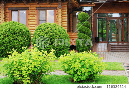 Entrance to wooden building constructed of logs. Modern building in old style. Landscaping, lawn and trimmed manicured shrubs.  116324814