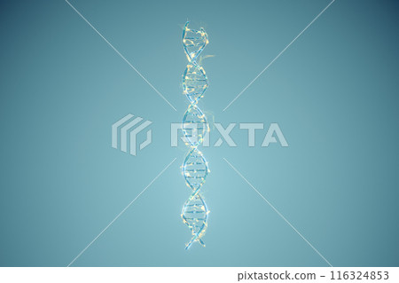 life, human, health 116324853