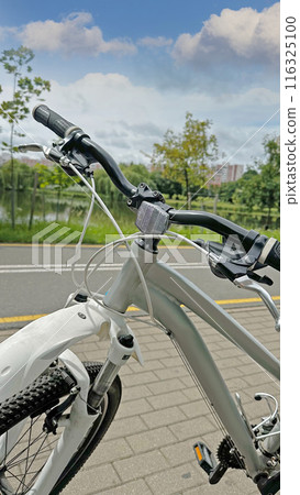 Bicycle handlebars, torch and braking mechanism in close-up. Sport and health. Vertical photo. Bicycle handlebars, torch and braking mechanism in close-up. Sport and health. Vertical photo. 116325100