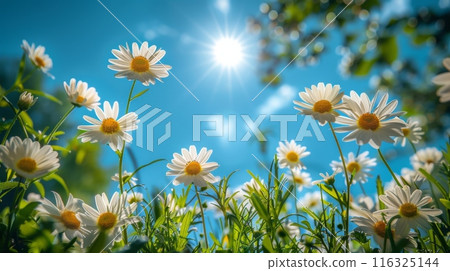below and on the sides there is grass and wild flowers. 116325144