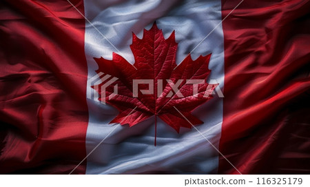 Happy Canada Day . Celebrating Canadian Day 116325179