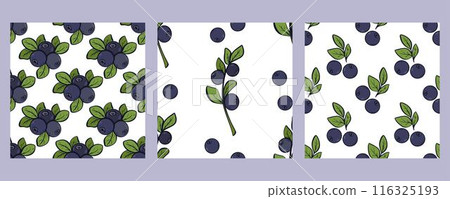 Set blueberry seamless patterns vector graphics Set blueberry seamless patterns vector graphics 116325193