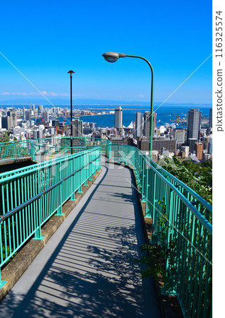 神戶維納斯橋 116325574