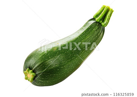 Green cocozelle zucchini isolated on a white background 116325859