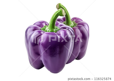 Purple bell pepper with green stem isolated on a white background 116325874