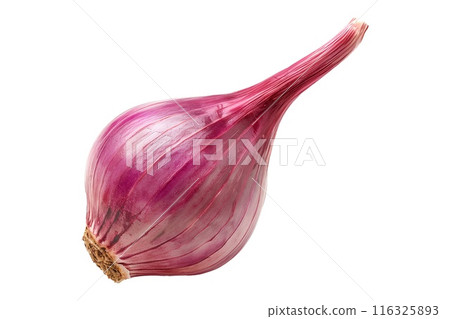 Fresh organic red shallot isolated on white background, onion ideal for healthy cooking and culinary use 116325893