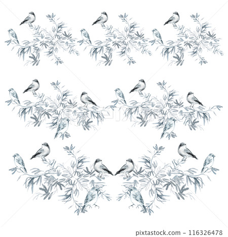 Birds siting and singing on a branch. Watercolor composition with a graceful olive tree branch, siting and singing nightingales in monochrome. Isolate in black and blue colors on white background. The 116326478