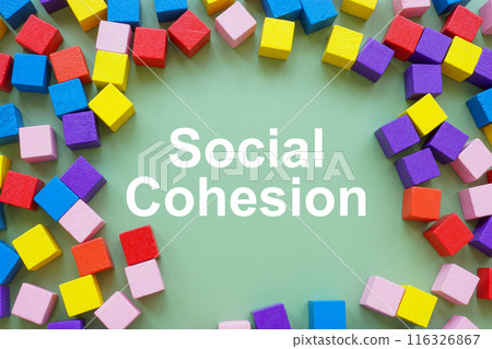 Circle of colored cubes and inscription Social cohesion. 116326867